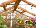 GREENHOUSES - Close up photos