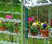 GREENHOUSES - Free downpipes included