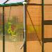GREENHOUSES: ALUMINIUM GREENHOUSES and WOODEN GREENHOUSES - Pair of downpipes