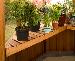 GREENHOUSES - Staging