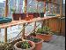 SHEDS: FITTED SHEDS and DIY SHEDS - Staging