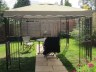 1st class value! Rectangular Gazebo 141