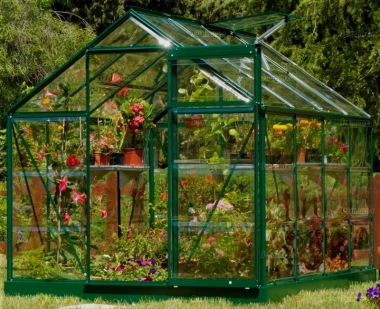 6ft wide Greenhouse 042