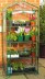 Small Growhouse 451