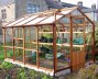 8ft wide Greenhouse 813