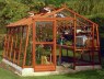 Large 10ft wide Greenhouse 82