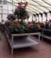 GREENHOUSES - Heavy duty aluminium 2 tier staging