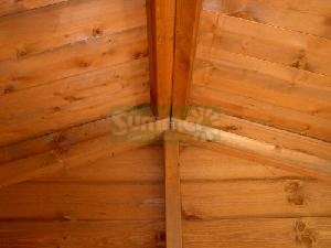 Close up photos