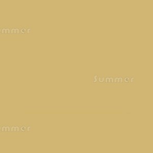 GREENHOUSES xx - Paint colours