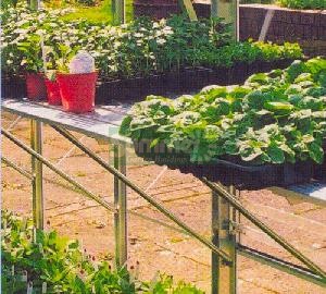 GREENHOUSES xx - Aluminium staging, silver finish