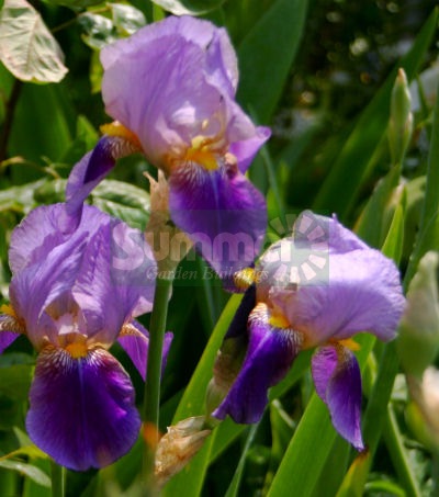 Customer Emails 2011