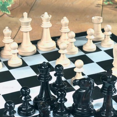 Giant Chess Garden Game 503 Giant Chess Garden Game 503