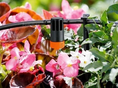 Hose Fed Irrigation System 319 - With Timer, 50m Hose, 50 Drippers