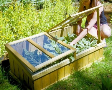 Wooden Cold Frame 480 - Pressure Treated Wooden Cold Frame 480 - Pressure Treated
